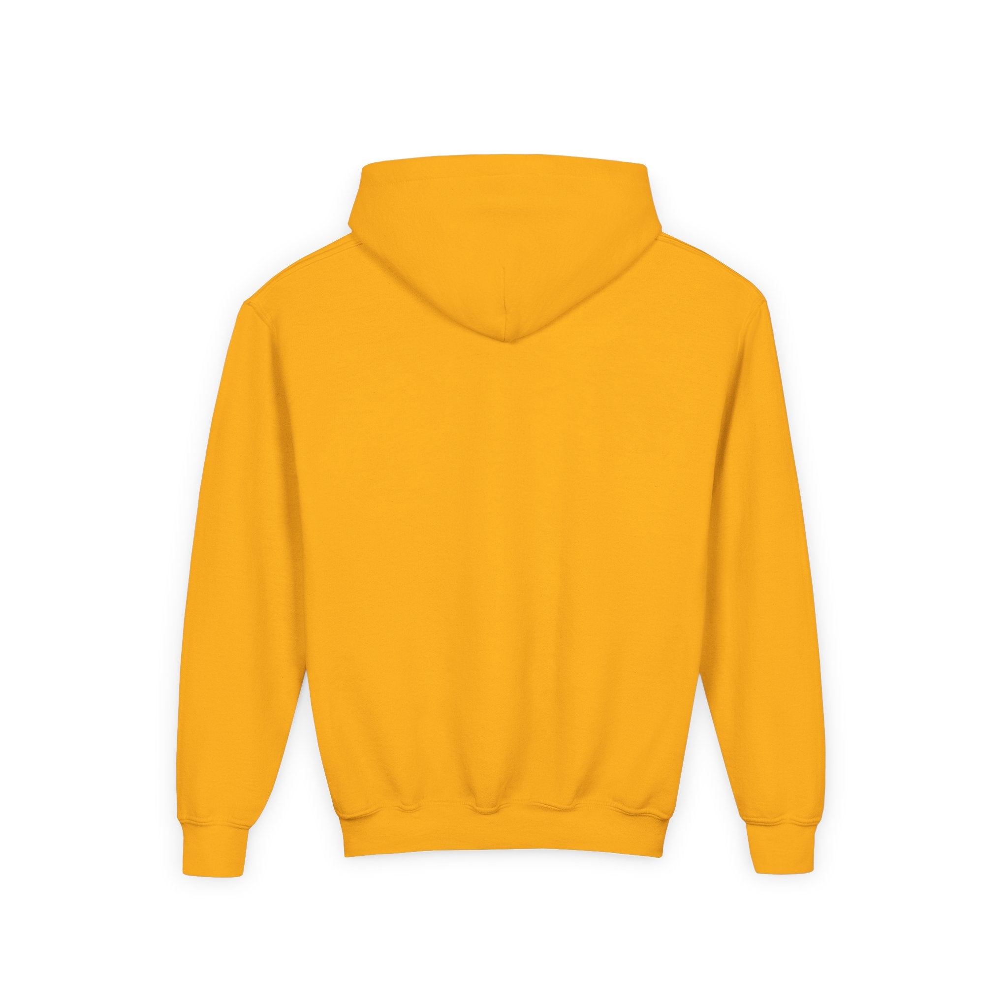 Child of God Youth Hoodie with Wings Design